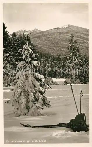 AK / Ansichtskarte Bayerisch Eisenstein Enzianwiese Grosser und Kleiner Arber Winterlandschaft Bayerischer Wald Kat. Bayerisch Eisenstein