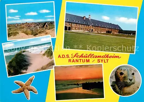 AK / Ansichtskarte Rantum Sylt ADS Schullandheim Duenen Strand Robbe Kat. Rantum (Sylt)