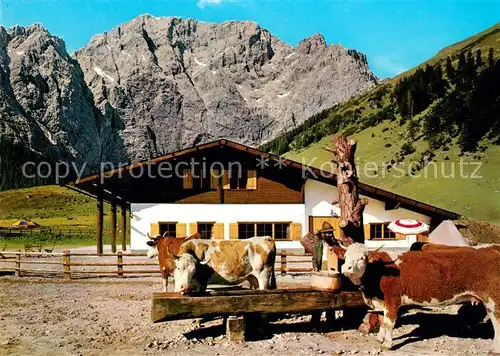 Hinterriss Tirol Rasthuette Eng Alm mit Karwendel und Viehtraenke Kat. Vomp
