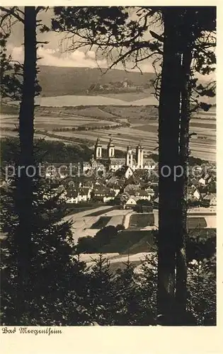 AK / Ansichtskarte Bad Mergentheim Panorama Kat. Bad Mergentheim