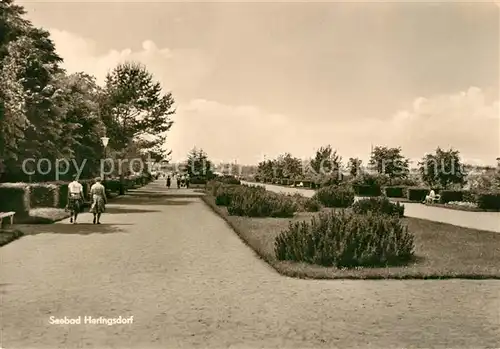 AK / Ansichtskarte Heringsdorf Ostseebad Usedom Parkanlage Kat. Heringsdorf