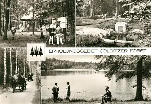 AK / Ansichtskarte Colditz Erholungsgebiet Colditzer Forst Kat. Colditz