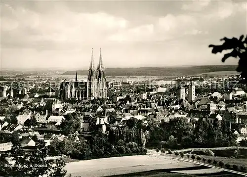AK / Ansichtskarte Regensburg Dom Panorama Kat. Regensburg