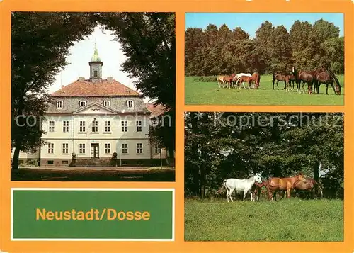 AK / Ansichtskarte Neustadt Dosse VE Hauptgestuet Schloss Stuten mit Fohlen Kat. Neustadt Dosse