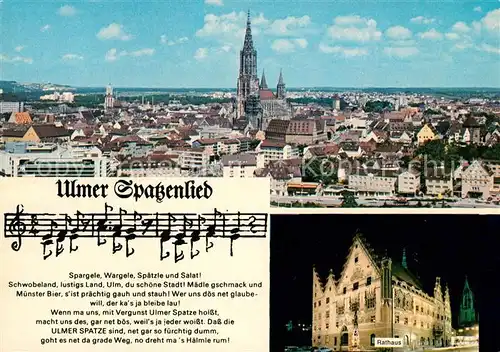 Ulm Donau Stadtblick Muenster Ulmer Spatzenlied Kat. Ulm