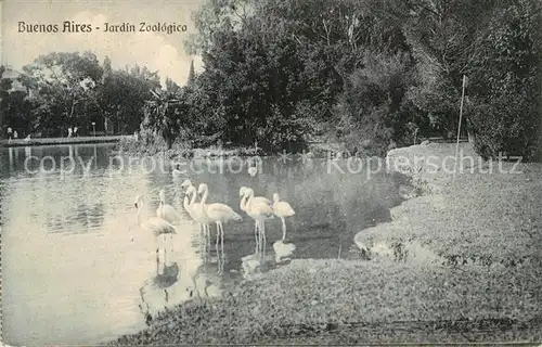 Buenos Aires Jardin Zoologico Zoologischer Garten Flamingos Kat. Buenos Aires