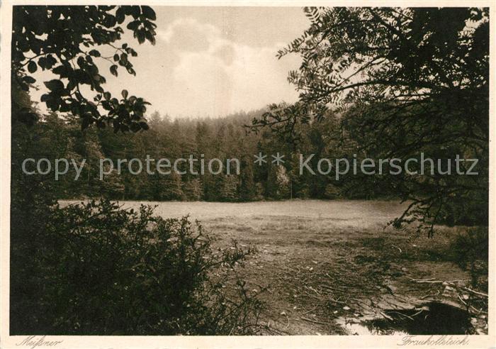 Abterode Frau Holle Teich am Meissner Wald Kat. Meissner Nr. sa53476
