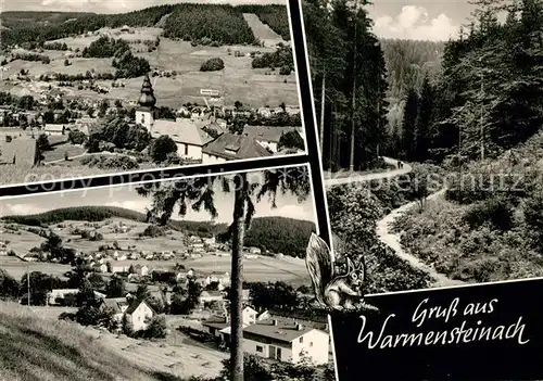 Warmensteinach Panorama Luftkurort Waldpartie Eichhoernchen Kat. Warmensteinach Fichtelgebirge