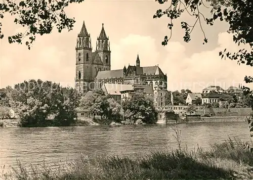 AK / Ansichtskarte Magdeburg Dom Kat. Magdeburg