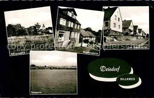 AK / Ansichtskarte Driedorf Zum Rosengarten Ruine Talsperre Kat. Driedorf