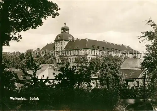 AK / Ansichtskarte Weissenfels Saale Schloss Kat. Weissenfels