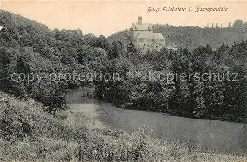 AK / Ansichtskarte Zschopautal Burg Kriebstein an der Zschopau Kat. Zschopau