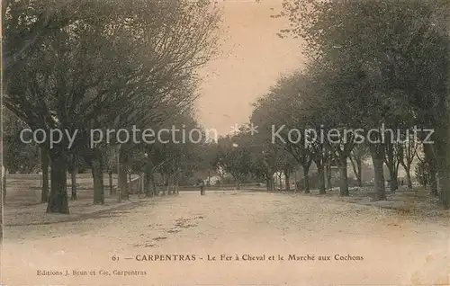 AK / Ansichtskarte Carpentras La Fer a Cheval et le Marche aux Cochons Kat. Carpentras