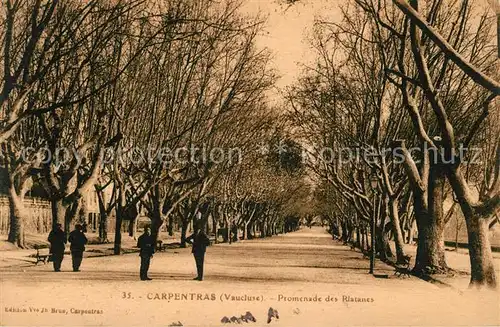 AK / Ansichtskarte Carpentras Promenade des Platanes Kat. Carpentras