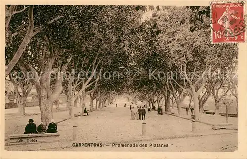 AK / Ansichtskarte Carpentras Promenade des Platanes Kat. Carpentras