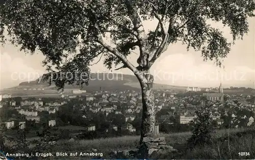 AK / Ansichtskarte Annaberg Buchholz Erzgebirge Panorama Annaberg Kat. Annaberg