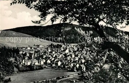 AK / Ansichtskarte Lautenthal Harz Blick vom Bielstein  Kat. Langelsheim