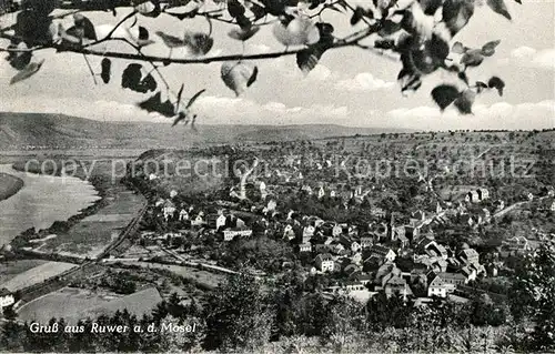 AK / Ansichtskarte Ruwer Trier Panorama Kat. Trier