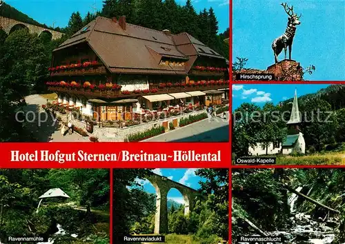 AK / Ansichtskarte Hoellsteig Hotel Hofgut Sternen Hirschsprung Oswald Kapelle Ravennamuehle Viadukt Schlucht Kat. Hinterzarten