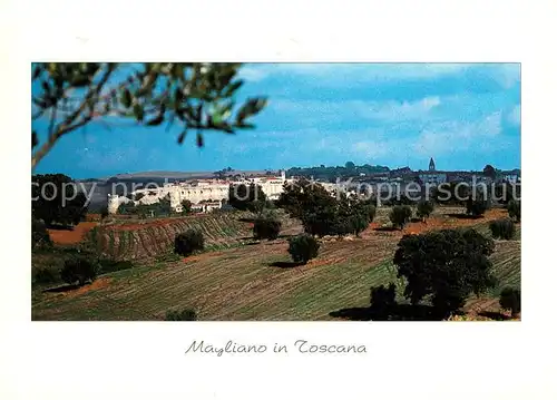 AK / Ansichtskarte Magliano Toscana 