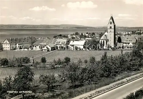 AK / Ansichtskarte Hagnau Bodensee Panorama Kat. Hagnau am Bodensee