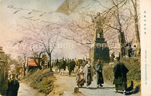 AK / Ansichtskarte Mukojima Prosperous Spring