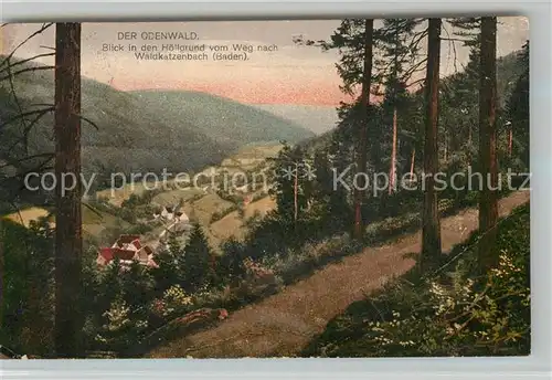 AK / Ansichtskarte Waldkatzenbach Panorama Blick in den Hoellengrund Odenwald Waldweg Kat. Waldbrunn