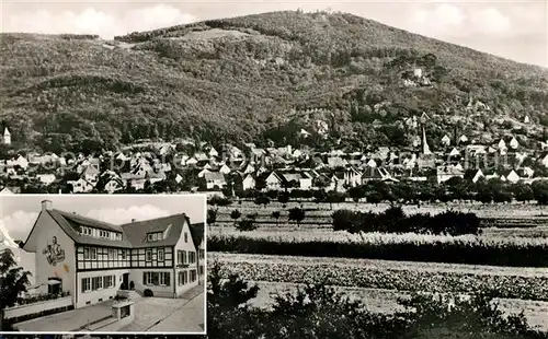 AK / Ansichtskarte Alsbach Bergstrasse Gasthaus Pension Zur Sonne Ortsansicht Blick ueber die Felder Kat. Alsbach Haehnlein