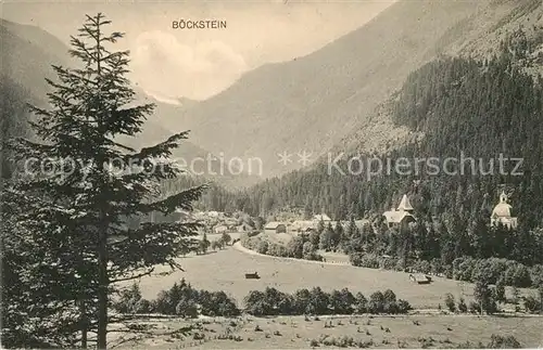 AK / Ansichtskarte Boeckstein Landschaftspanorama Alpen Kat. Bad Gastein