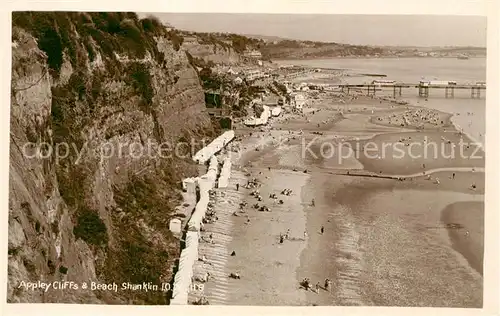 AK / Ansichtskarte Shanklin Appley Cliffs and Beach Kat. Isle of Wight