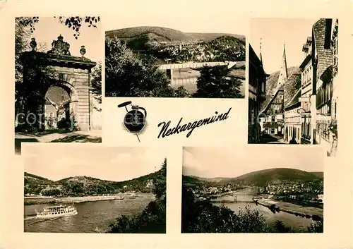AK / Ansichtskarte Neckargemuend Panoramen Kat. Neckargemuend