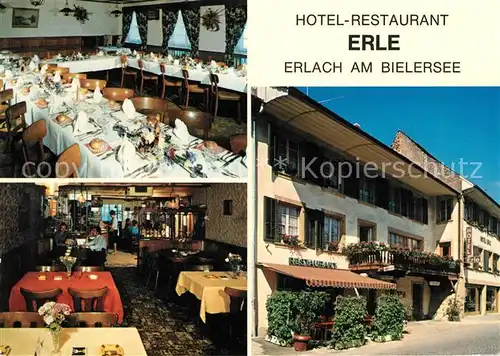 AK / Ansichtskarte Erlach BE Hotel Restaurant Erle Kat. Erlach Cerlier