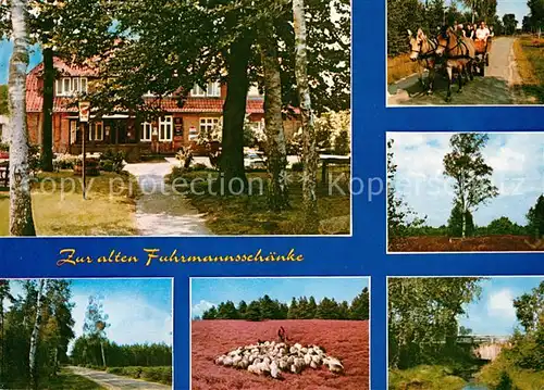 AK / Ansichtskarte Eversen Celle Zur alten Fuhrmannsschaenke Pferdewagen Schafherde Landschaftsmotive Kat. Bergen
