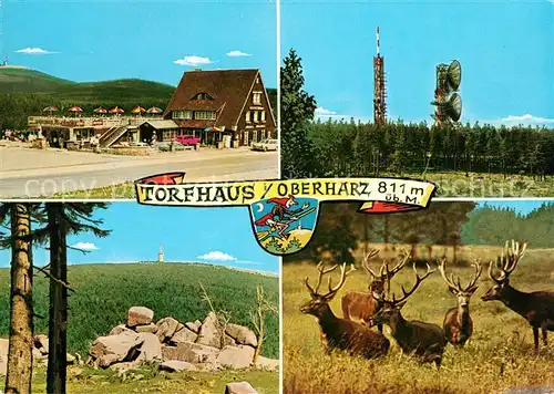 AK / Ansichtskarte Torfhaus Harz Sporthotel Brockenblick Sendeanlagen Wildgehege Kat. Altenau