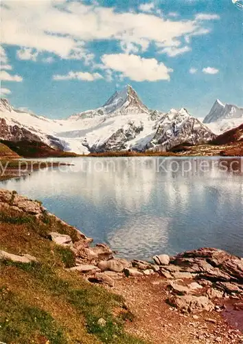 AK / Ansichtskarte Bachalpsee Schreckhorn Finsteraarhorn Kat. Grindelwald