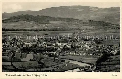 AK / Ansichtskarte Viechtach Bayerischer Wald Panorama Kat. Viechtach