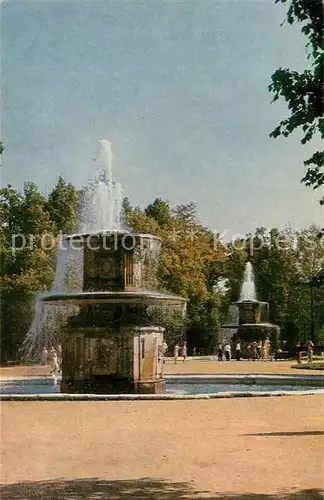 AK / Ansichtskarte Petrodvorets St Petersburg Roman fountains  Kat. 
