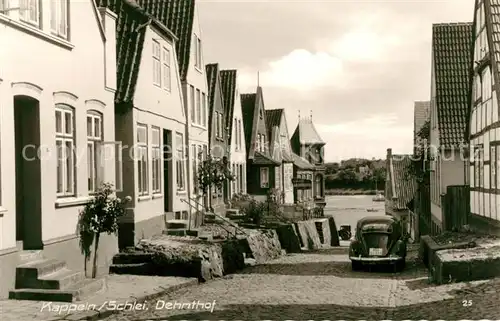 AK / Ansichtskarte Kappeln Schlei Dehnthof Kat. Kappeln