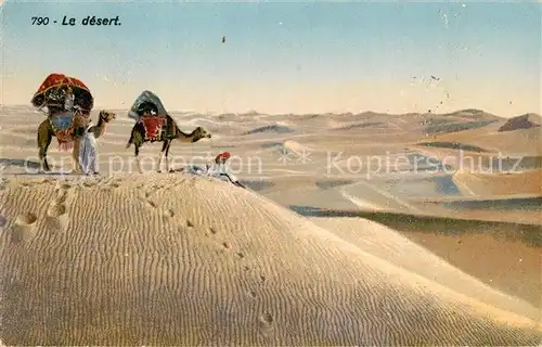 AK / Ansichtskarte Kamele Wueste Desert Kat. Tiere
