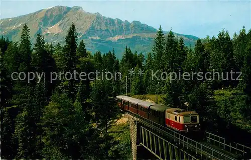 AK / Ansichtskarte Mariazellerbahn  Kuhgrabenbruecke Erlaufklause oetscher  Kat. St. Poelten