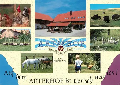 AK / Ansichtskarte Bad Birnbach Arterhof Kat. Bad Birnbach
