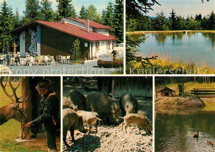 Ak Ansichtskarte Fichtelgebirge Bayreuther Haus Fichtelnaabtal