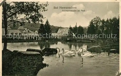 Bad Hermannsborn Schwanenteiche im Park Kat. Bad Driburg