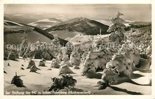 Hochsauerland Astenberg Suedhang im Winter