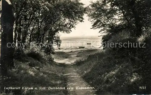 AK / Ansichtskarte Keitum Sylt Durchblick zum Wattenmeer Kat. Sylt Ost