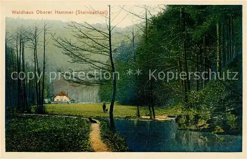 AK / Ansichtskarte Steinbachtal Bad Koetzting Waldhaus Oberer Hammer Landschaftspanorama