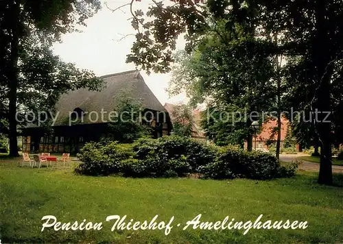 AK / Ansichtskarte Amelinghausen Lueneburger Heide Pension Thieshof Kat. Amelinghausen