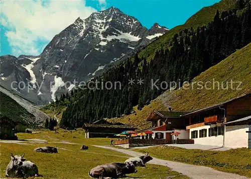 AK / Ansichtskarte Pinnistal Pinnisalm Habicht  Kat. Neustift im Stubaital