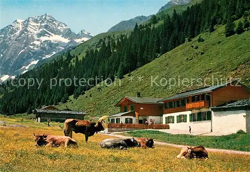 AK / Ansichtskarte Pinnistal Pinnisalm Stubai Habicht Kat. Neustift im Stubaital