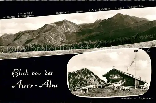 AK / Ansichtskarte Auer Alm Berggasthof mit Fockenstein Panorama